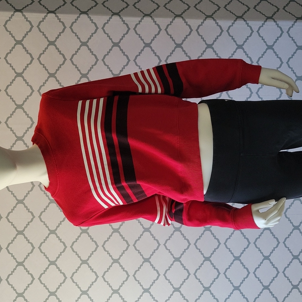 Hollister Crop Sweatshirt